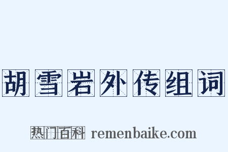 胡雪岩外传组词是什么意思的图片
